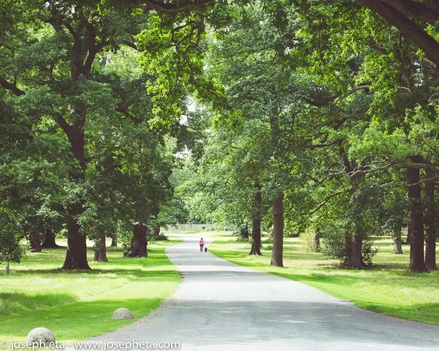 joseph_eta_windsor_great_park_2-1080x864-1-2