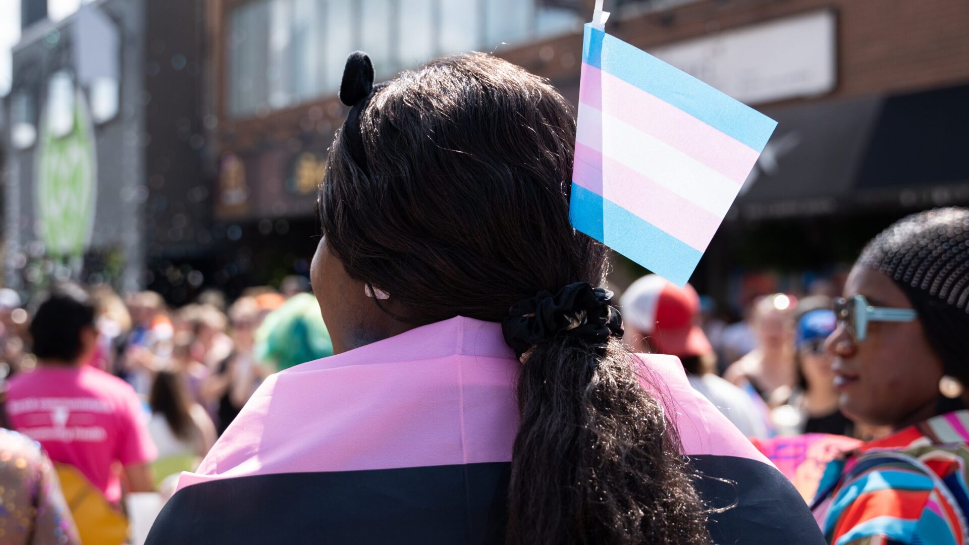 Photo of person from behind, in a crowd, with a trans flag in their hair.